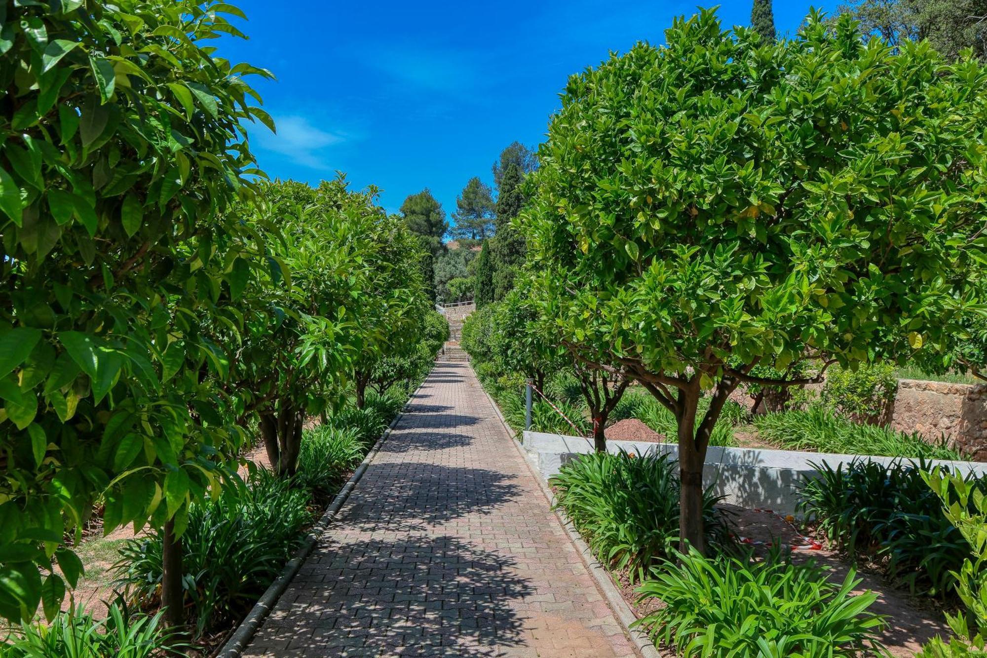 Domaine Des Gueules Cassees Hotel La Valette-du-Var Eksteriør billede