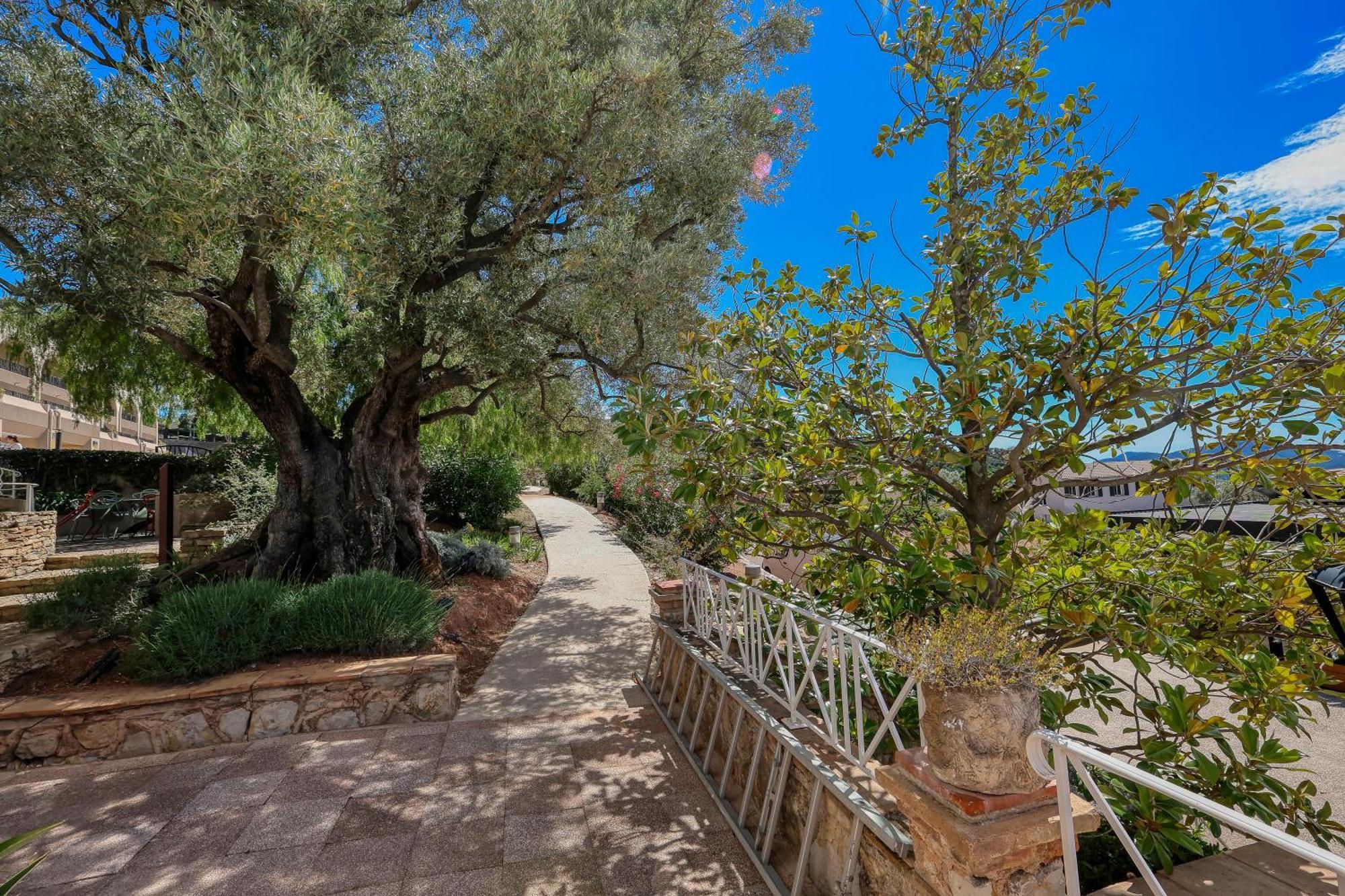 Domaine Des Gueules Cassees Hotel La Valette-du-Var Eksteriør billede