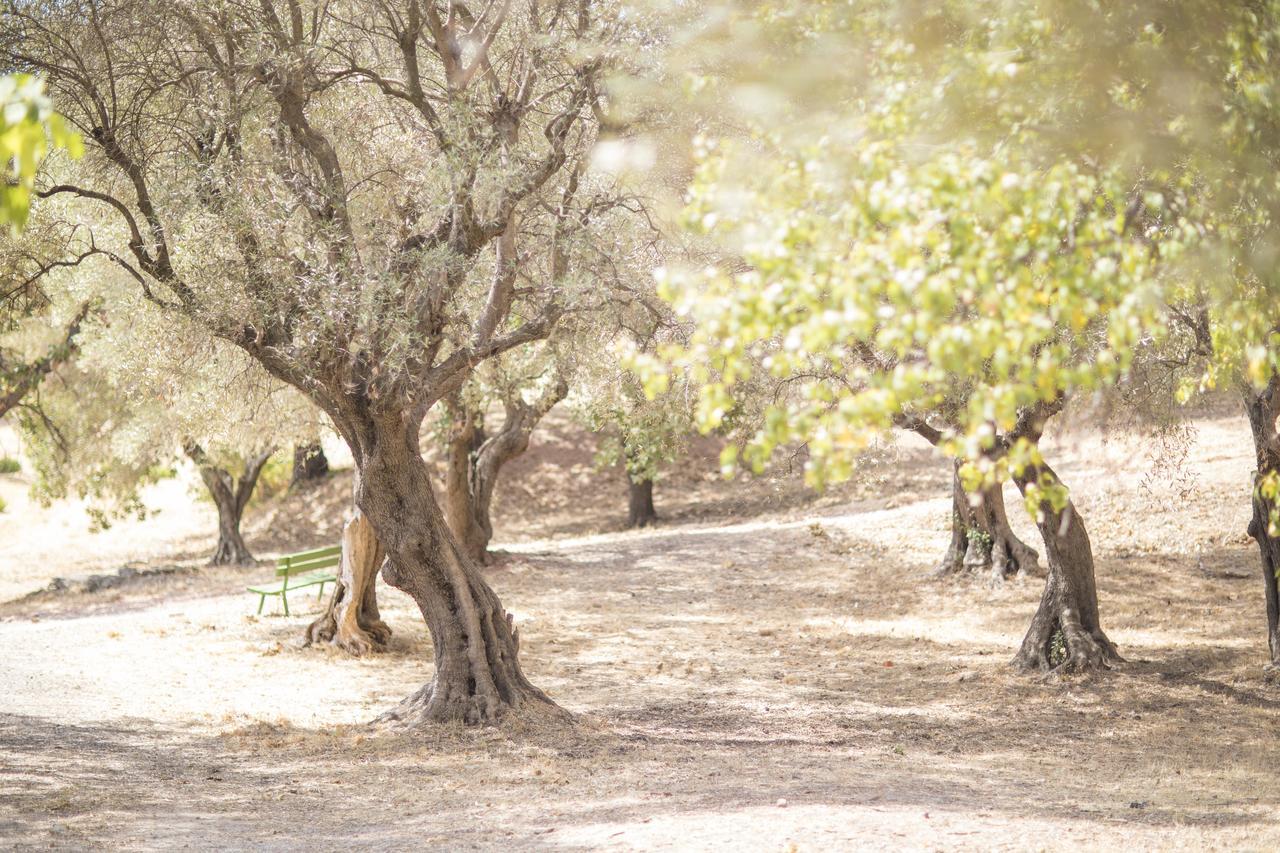 Domaine Des Gueules Cassees Hotel La Valette-du-Var Eksteriør billede